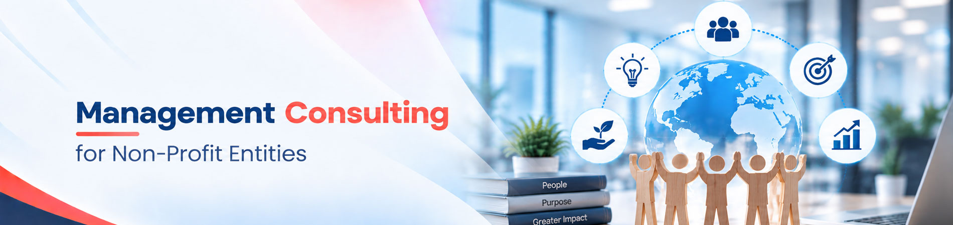 Management Consulting for Non-Profit Entities